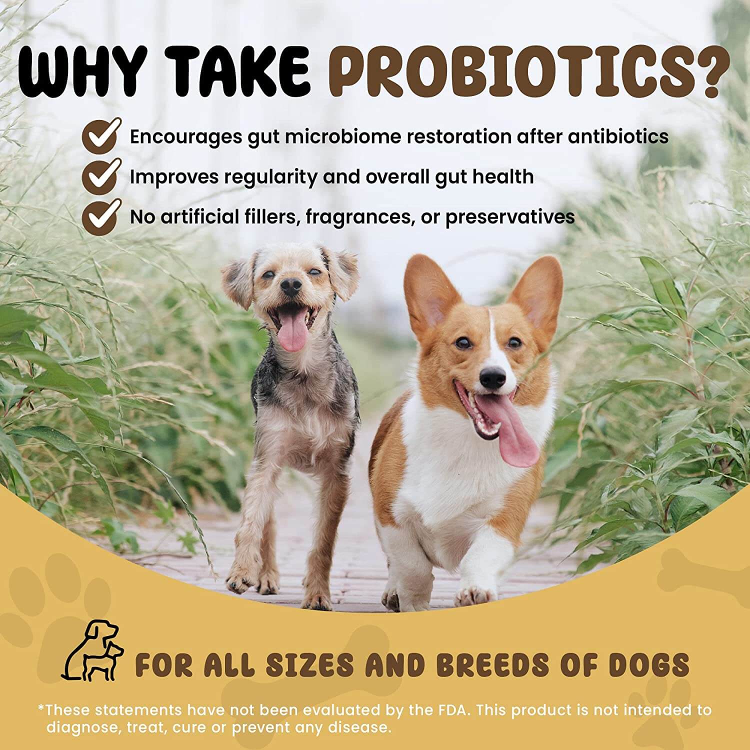 Probiotics for dogs on antibiotics best sale